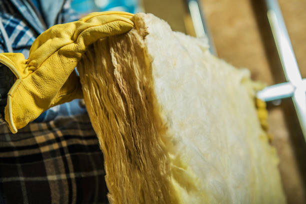 Best Geographic-Specific Insulation Services in Osage Beach, MO
